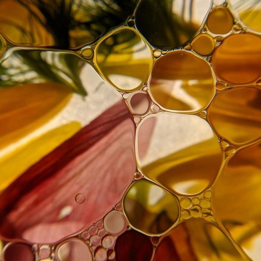 Gratuita · Conectar con lo que viene